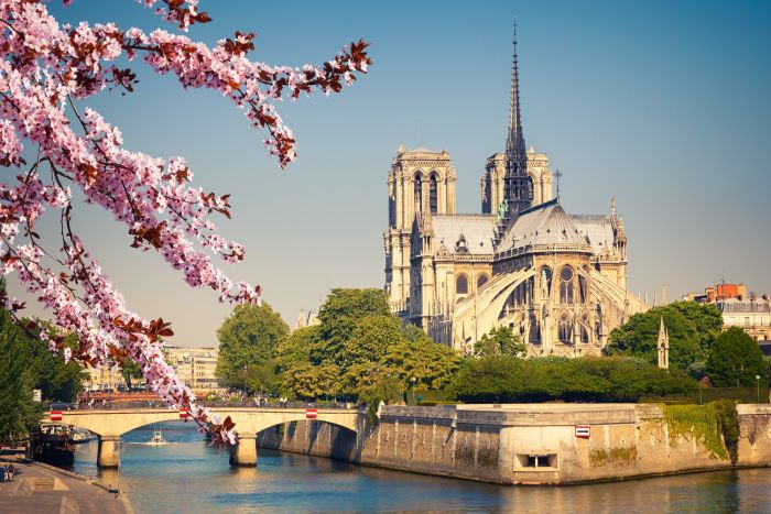 Cathédrale Notre-Dame de Paris - photo 4